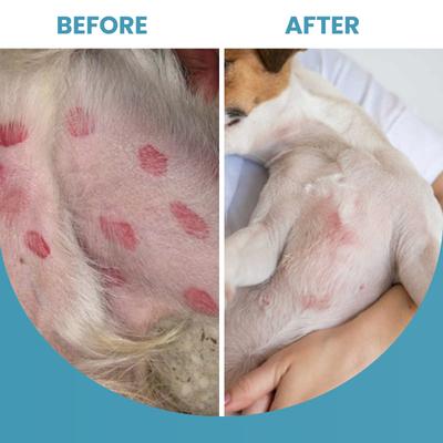 Show full view: Replenish Dog Anti Itch Spray & Hot Spot Treatment, 4-fl oz bottle slide 6 of 8