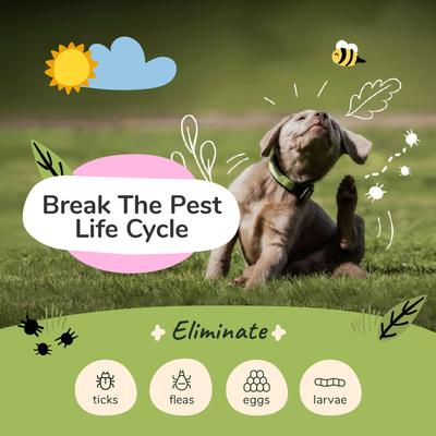 Show full view: kin+kind Flea & Tick Dog & Cat Shampoo, Lemongrass Scent, 12-fl oz bottle slide 2 of 11