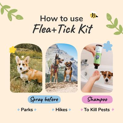 Show full view: kin+kind Flea+Tick Lemongrass Spray & Shampoo Maximum Protection Set for Dogs & Cats, 12-fl oz bottle slide 6 of 11