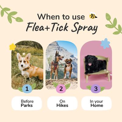 Show full view: kin+kind Lemongrass Flea+Tick Protect Dog & Cat Spray, 32-fl oz bottle slide 6 of 11