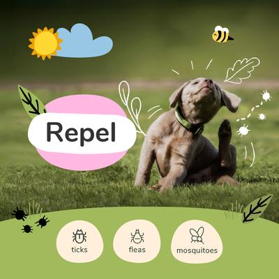 Show full view: kin+kind Lemongrass Flea+Tick Protect Dog & Cat Spray, 32-fl oz bottle slide 2 of 11