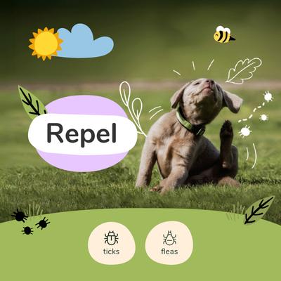 Show full view: kin+kind Flea+Tick Protect Lavender Dog Spray, 12-fl oz bottle slide 2 of 12