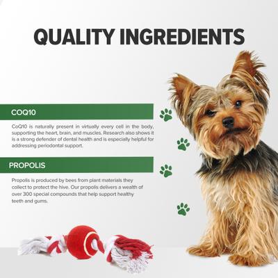 Show full view: Terry Naturally Animal Health Healthy Teeth & Gums Liver Flavored Chewable Tablet Dental Supplement for Dogs, 60 count slide 6 of 7