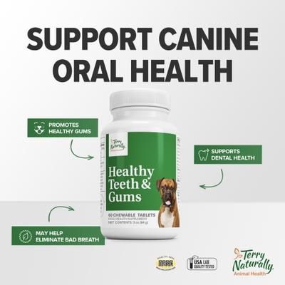 Show full view: Terry Naturally Animal Health Healthy Teeth & Gums Liver Flavored Chewable Tablet Dental Supplement for Dogs, 60 count slide 5 of 7