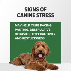 Terry Naturally Animal Health Bacon Flavored Soft Chew Calming Supplement for Dogs, 60 count slide 2 of 7