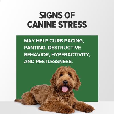 Show full view: Terry Naturally Animal Health Bacon Flavored Soft Chew Calming Supplement for Dogs, 60 count slide 5 of 8