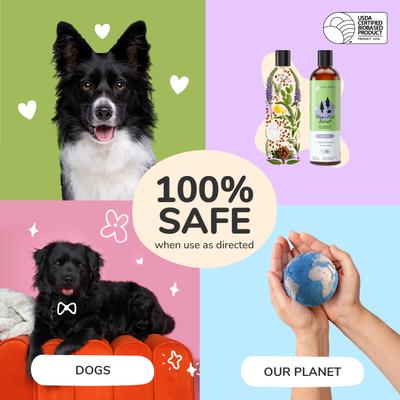 Show full view: kin+kind Flea+Tick Lavender Dog Shampoo, 12-fl oz bottle slide 5 of 11