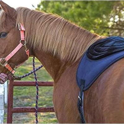 Show full view: Best Friend Comfort Plus Non-Slip Bareback Horse Pad, Navy slide 3 of 4