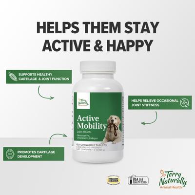Show full view: Terry Naturally Animal Health Active Mobility Beef Flavored Chewable Tablet Joint Supplement for Dogs, 60 count slide 5 of 8