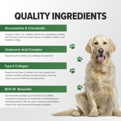 Show full view: Terry Naturally Animal Health Active Mobility Beef Flavored Chewable Tablet Joint Supplement for Dogs, 60 count slide 6 of 8