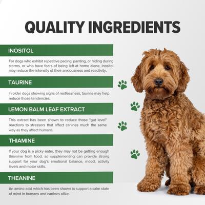 Show full view: Terry Naturally Animal Health Bacon Flavored Soft Chew Calming Supplement for Dogs, 60 count slide 7 of 8