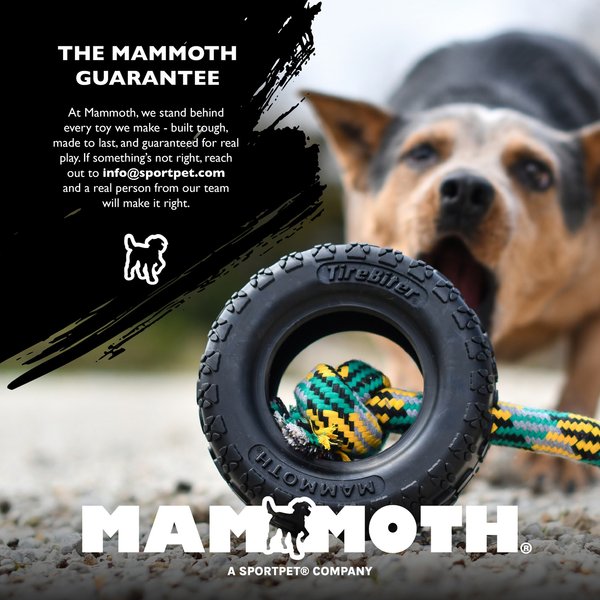 MAMMOTH SnakeBiter Snake Rope Dog Toy, Color Varies, Medium - Chewy.com