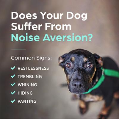 Show full view: Sileo (dexmedetomidine oromucosal) Oromucosal Gel for Dogs, 0.09-mg/mL, 3-mL slide 6 of 10