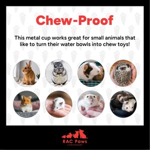 RAC Paws by RentACoop Auto-Fill Small Pet Metal Cup with Cage Attachment, 6 count