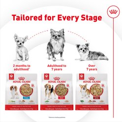 Royal Canin Fresh Health Nutrition Senior Dog Food, 8.8-oz pouch, pack of 7 slide 2 of 8