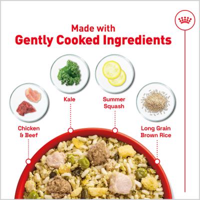 Show full view: Royal Canin Fresh Health Nutrition Senior Dog Food, 14.1-oz pouch, pack of 7 slide 3 of 12