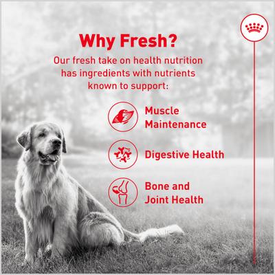 Show full view: Royal Canin Fresh Health Nutrition Senior Dog Food, 14.1-oz pouch, pack of 7 slide 4 of 12