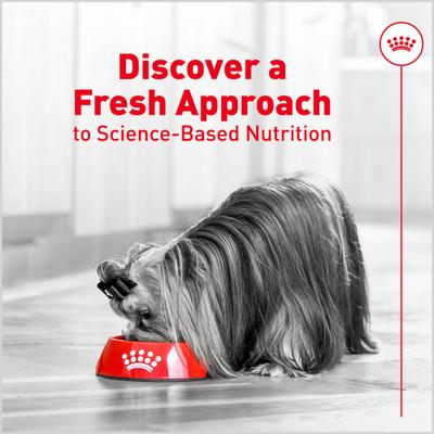Show full view: Royal Canin Fresh Health Nutrition Adult Dog Food, 8.8-oz pouch, pack of 7 slide 9 of 11
