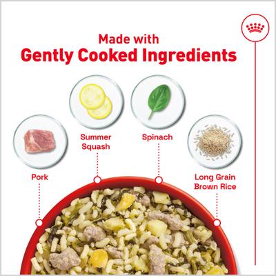 Show full view: Royal Canin Fresh Health Nutrition Adult Dog Food, 8.8-oz pouch, pack of 7 slide 3 of 11