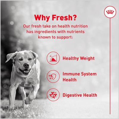 Show full view: Royal Canin Fresh Health Nutrition Adult Dog Food, 8.8-oz pouch, pack of 7 slide 4 of 11