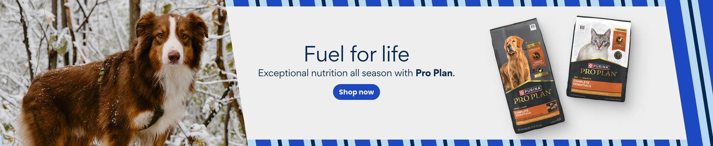 Fuel for life Exceptional nutrition all season with Pro Plan. Shop now.