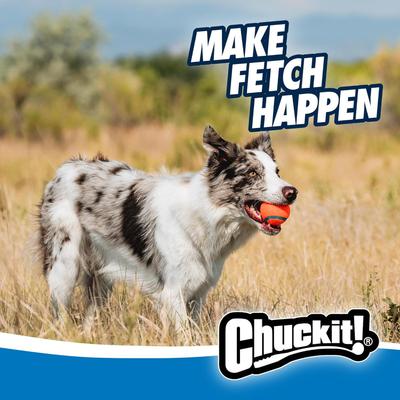 Show full view: Chuckit! Classic Launcher Ultra Ball Dog Toy, 26M, 3 count slide 5 of 7