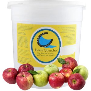 Horse Quencher Apple Flavor Crumble Horse Electrolyte Supplement, 13-lb pail