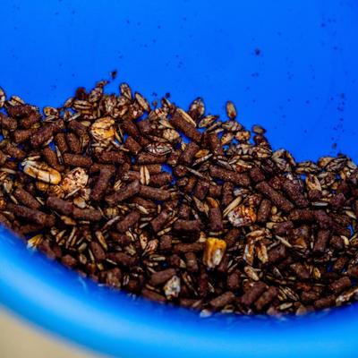 Show full view: Horse Quencher Apple Flavor Crumble Horse Electrolyte Supplement, 13-lb pail slide 4 of 5