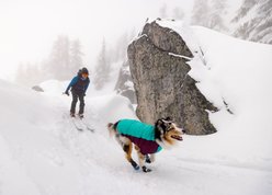 Ruffwear Powder Hound Solid Insulated Dog Jacket, Aurora Teal, X-Small slide 2 of 6