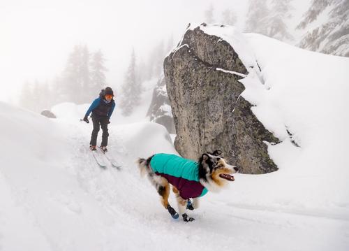 Show full view: Ruffwear Powder Hound Solid Insulated Dog Jacket, Aurora Teal, Small slide 5 of 6