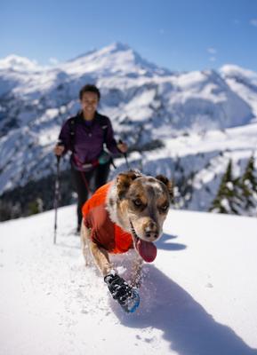 Show full view: Ruffwear Powder Hound Solid Insulated Dog Jacket, Persimmon Orange, XX-Small slide 5 of 6