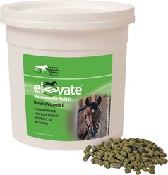 Kentucky Performance Products Elevate Maintenance Pellets Horse Supplement, 3-lb tub