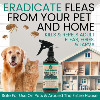 Show full view: Trail Hound Pet Supply Co. Trail Guard Cedarwood & Rosemary Flea & Tick Repellent Spray for Dogs, 16-fl oz bottle slide 5 of 7