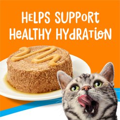 Friskies lil' Lickables Chicken & Tuna Variety Pack Lickable Cat Treats, 10 count slide 2 of 9