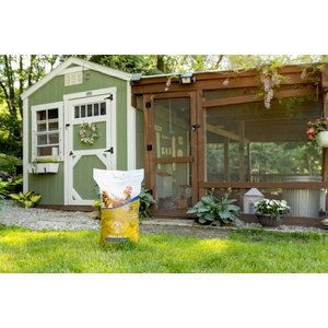 Chicks Dig It! Premium Chicken Sand Bedding, 50-lb bag