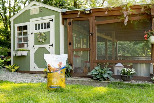 Show full view: Chicks Dig It! Premium Chicken Sand Bedding, 50-lb bag slide 5 of 6