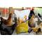 Show in main carousel: Chicks Dig It! Premium Chicken Sand Bedding, 50-lb bag slide 3 of 6