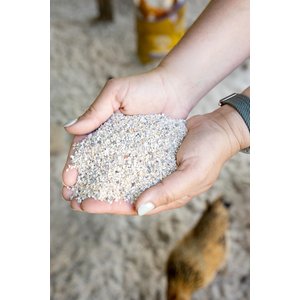 Chicks Dig It! Premium Chicken Sand Bedding, 50-lb bag