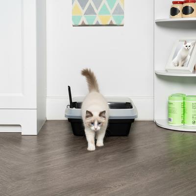 Show full view: IRIS Open Top Compact Cat Litter Box with Scoop & Plastic Pan, Black slide 8 of 9