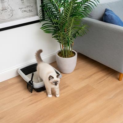 Show full view: IRIS Open Top Compact Cat Litter Box with Scoop & Plastic Pan, Black slide 5 of 9