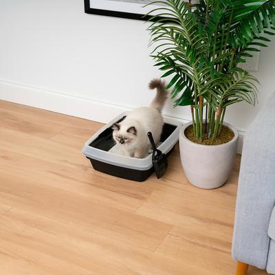 Show full view: IRIS Open Top Compact Cat Litter Box with Scoop & Plastic Pan, Black slide 4 of 9
