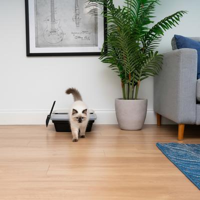 Show full view: IRIS Open Top Compact Cat Litter Box with Scoop & Plastic Pan, Black slide 3 of 9