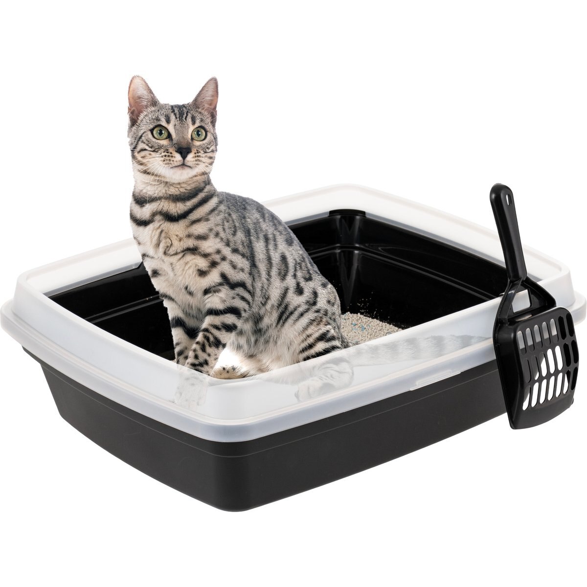 IRIS Open Top Compact Cat Litter Box with Scoop & Plastic Pan, Black