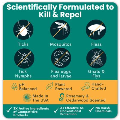 Show full view: Trail Hound Pet Supply Co. Trail Guard Cedarwood & Rosemary Flea & Tick Repellent Spray for Dogs, 16-fl oz bottle slide 3 of 7