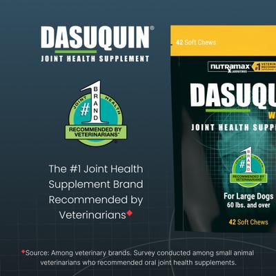 Show full view: Nutramax Dasuquin Hip & Joint Soft Chews Joint Supplement for Large Dogs, 42 count slide 4 of 13