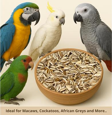 Show full view: Nemeth Farms Premium Striped Sunflower Seeds Bird Food, 5-lb bag slide 2 of 4