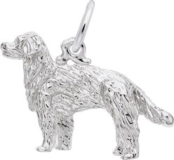 Rembrandt Charms Golden Retriever Keepsake, Silver, 21.39 x 15.06-mm