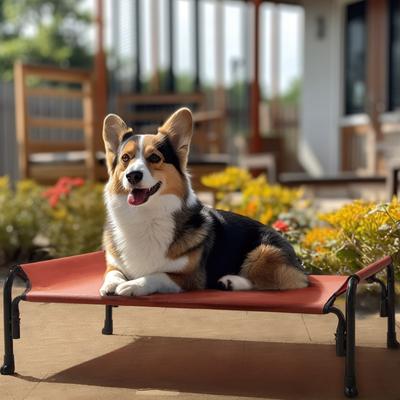 Show full view: Veehoo Elevated Raised Outdoor Dog Bed, Red, Medium slide 7 of 10