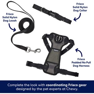 Frisco Solid Nylon Dog Leash, Black, X-Small: 6-ft long, 3/8-in wide