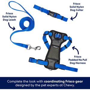 Frisco Padded No Pull Dog Harness, Blue, M- Girth 22 to 34-in